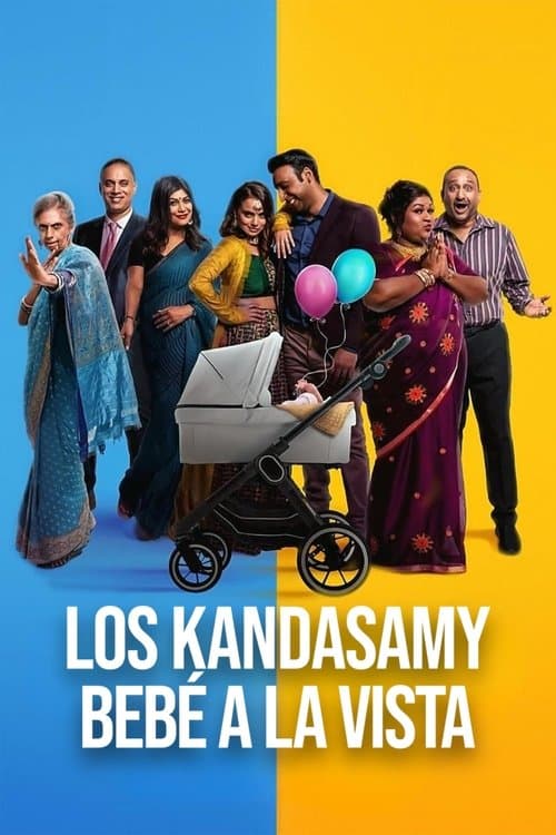 Póster de Los Kandasamy: Bebé a la vista
