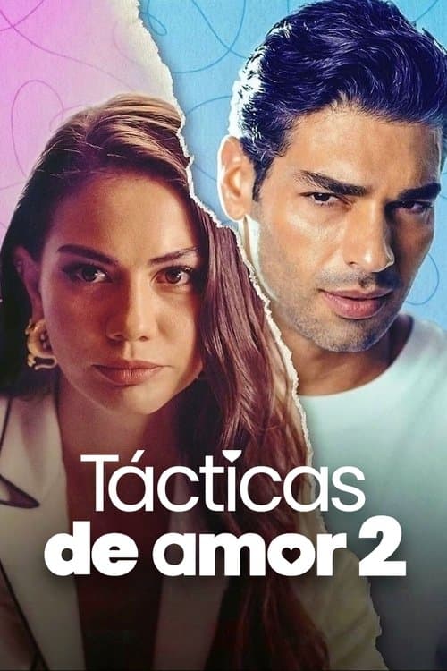 Póster de Tácticas en el amor 2