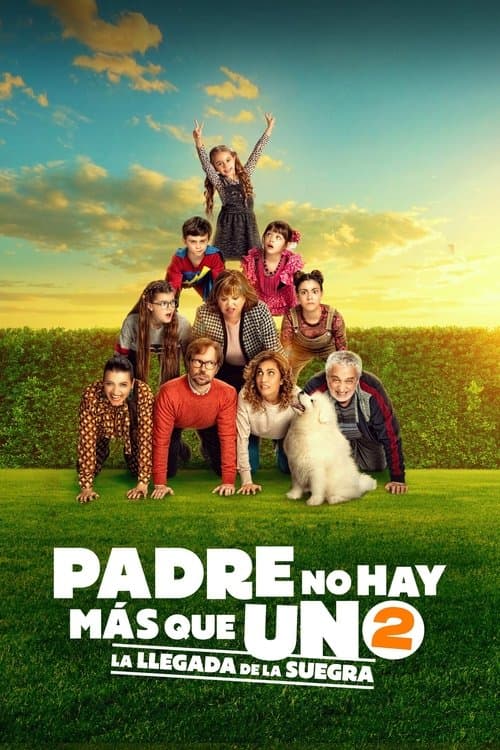 Póster de Padre no hay más que uno 2: la llegada de la suegra