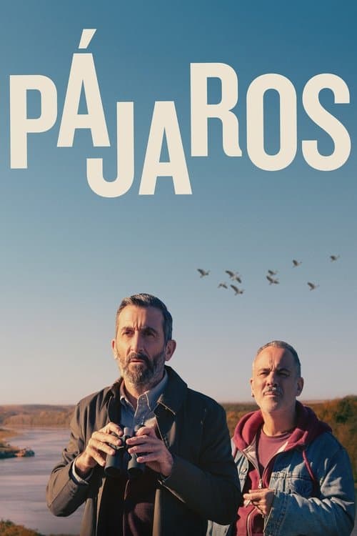 Póster de Pájaros (2024)