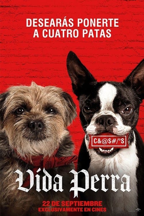 Póster de Strays Hijos De Perra - Vida perra