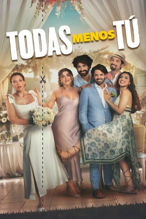 Póster de Todas Menos Tú
