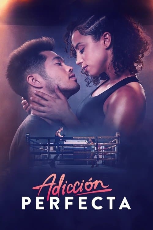 Póster de Adicción perfecta