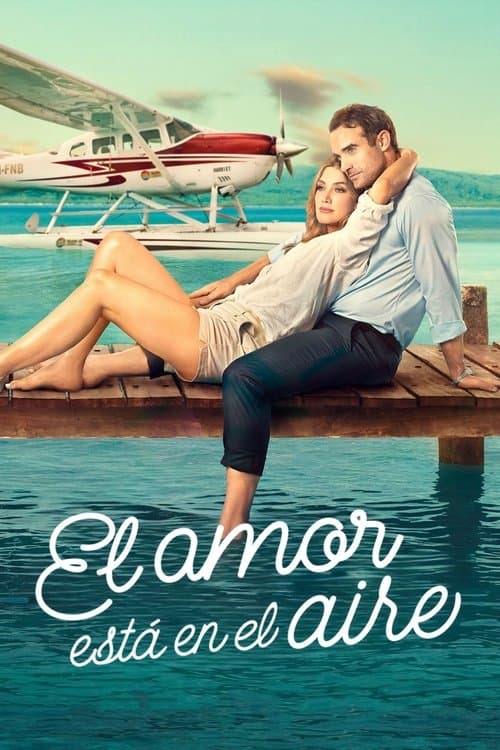 Póster de El amor está en el aire