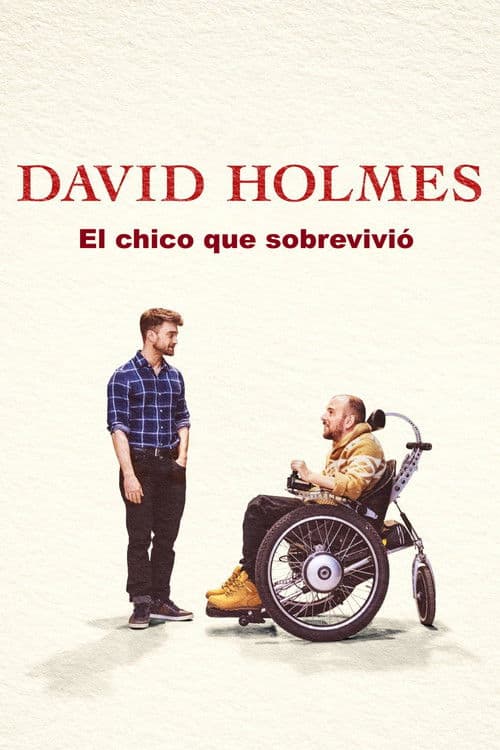 Póster de David Holmes: El chico que sobrevivió
