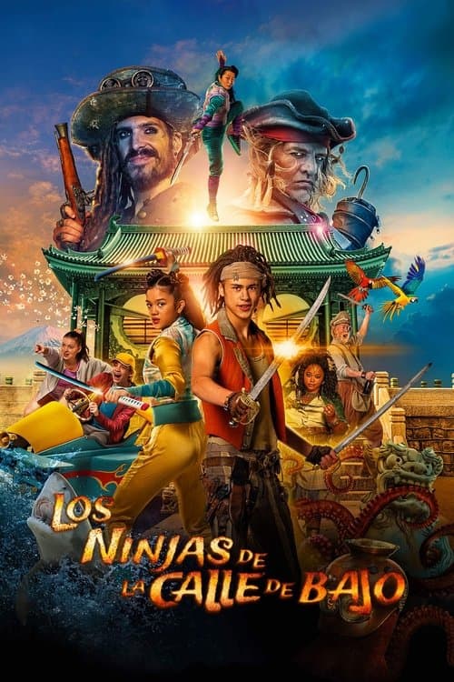 Póster de Pirates Down the Street II: The Ninjas from Across