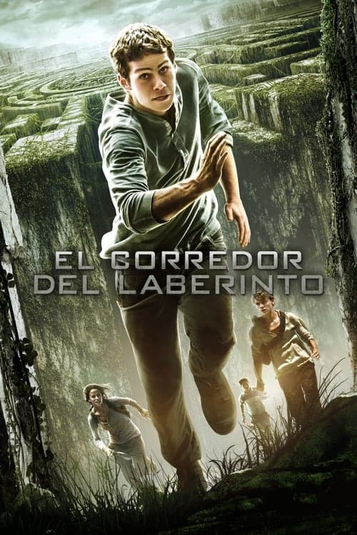 Póster de El corredor del laberinto