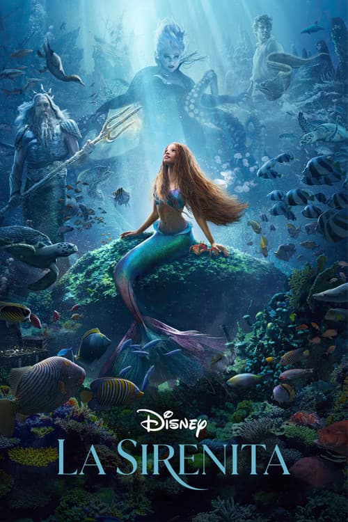 Póster de La sirenita