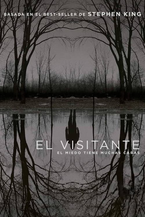 Póster de The Outsider - El visitante