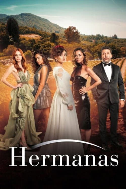 Póster de Querido pasado - Hermanas