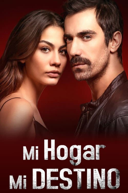 Póster de Mi hogar, mi destino
