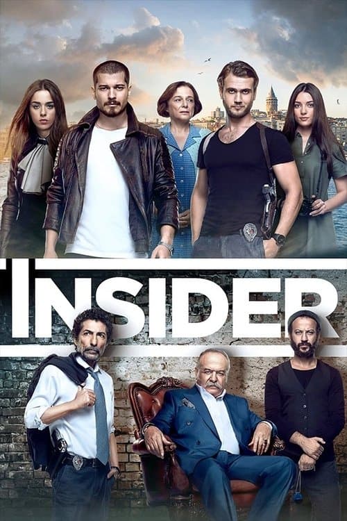 Póster de Icerde