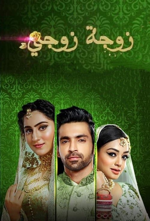 Póster de Bahu Begum