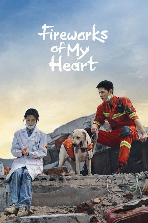 Póster de Firework of my heart - Las luces de mi corazon