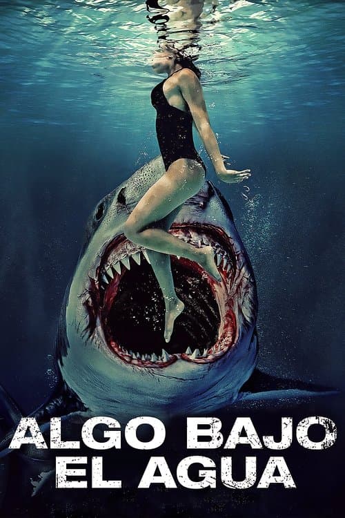Póster de Algo bajo el agua