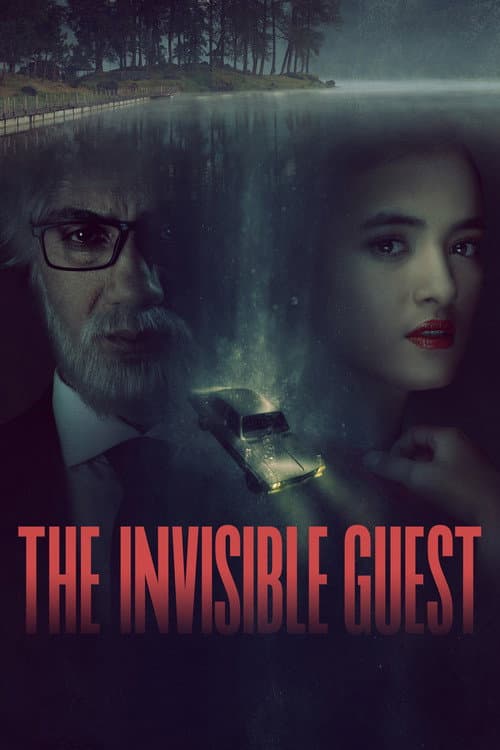 Póster de The Invisible Guest