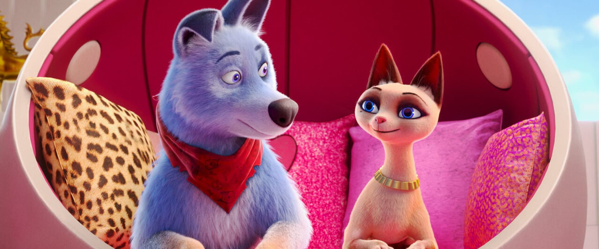 Mascotas unidas - Pets united