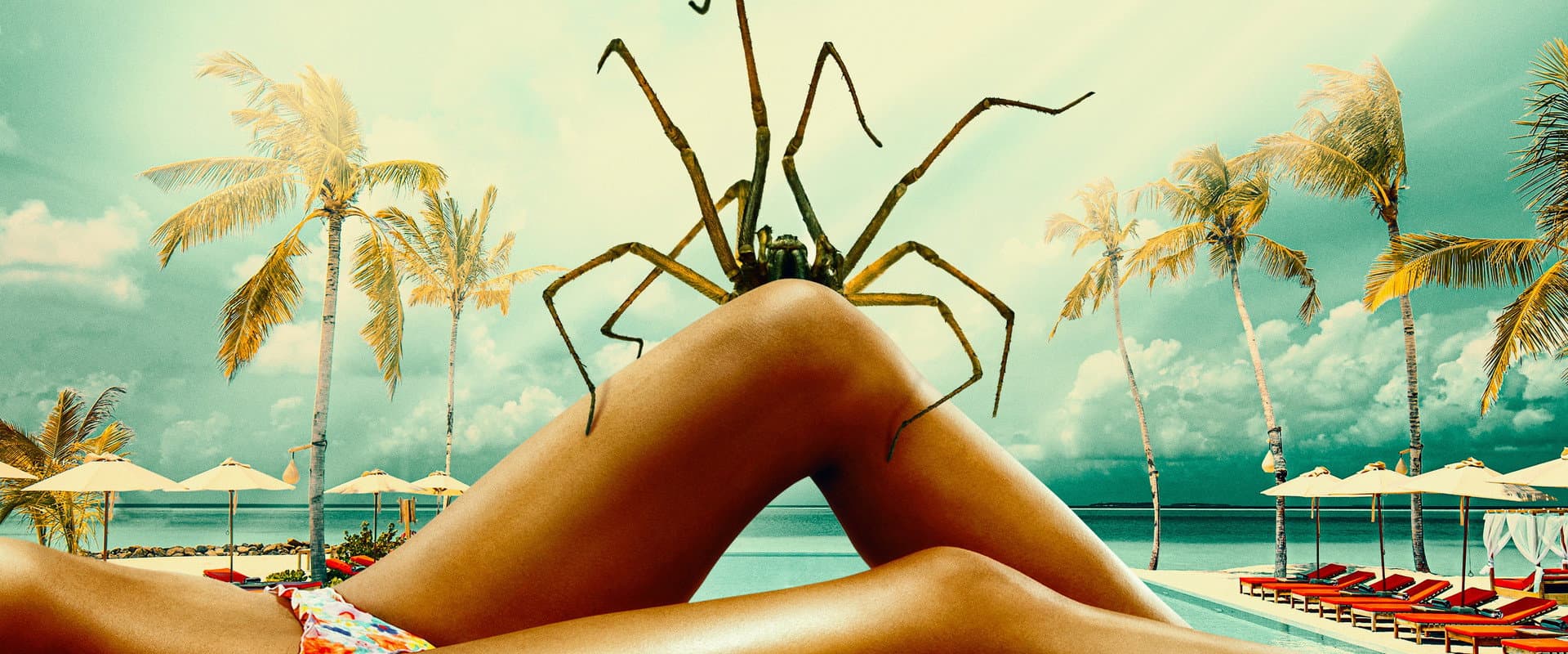 Spider Island