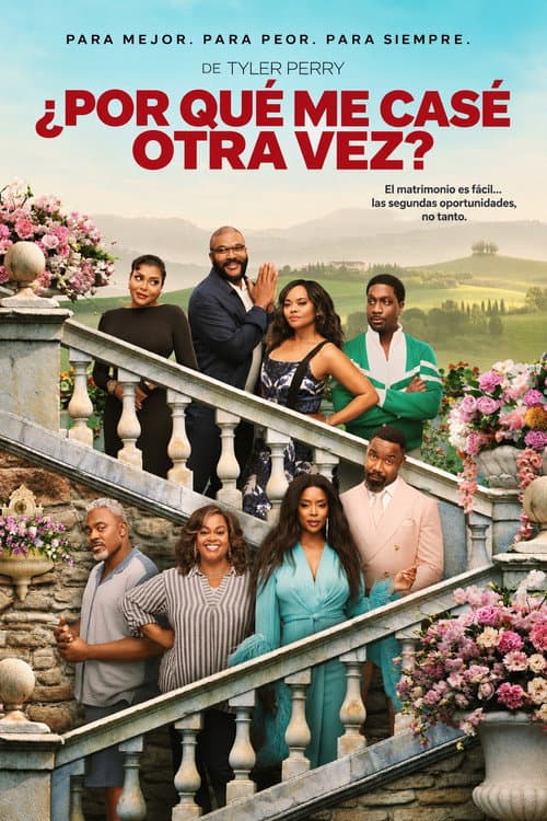 Póster de ¿Por qué me casé, entonces?