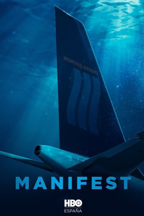 Póster de Manifest