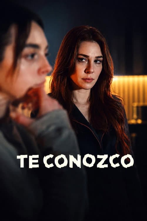 Póster de Seni Taniyorum (Te Conozco)