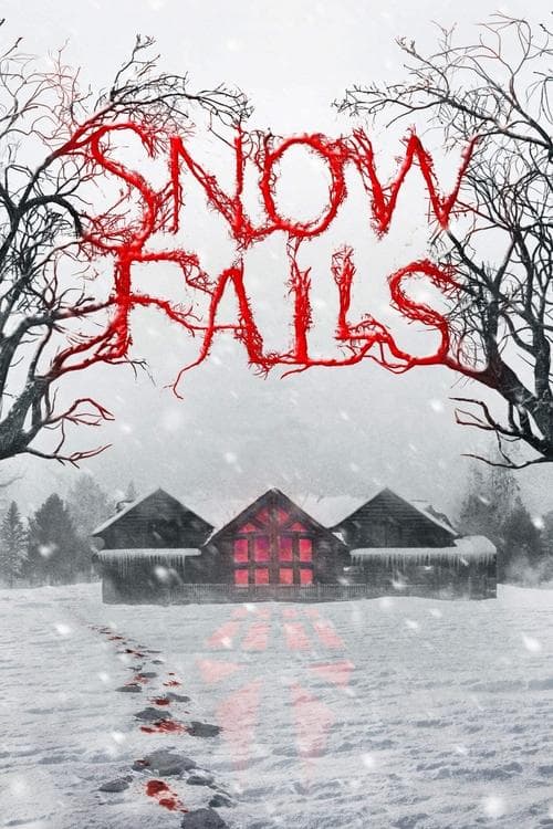 Póster de Snow Falls