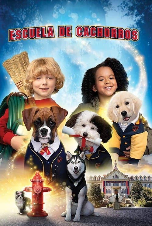 Póster de Escuela de cachorros - Academia de cachorros 
