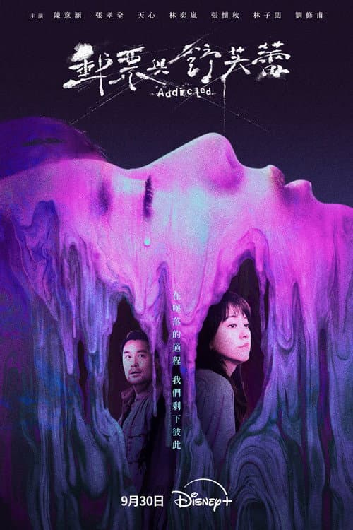 Póster de Addicted