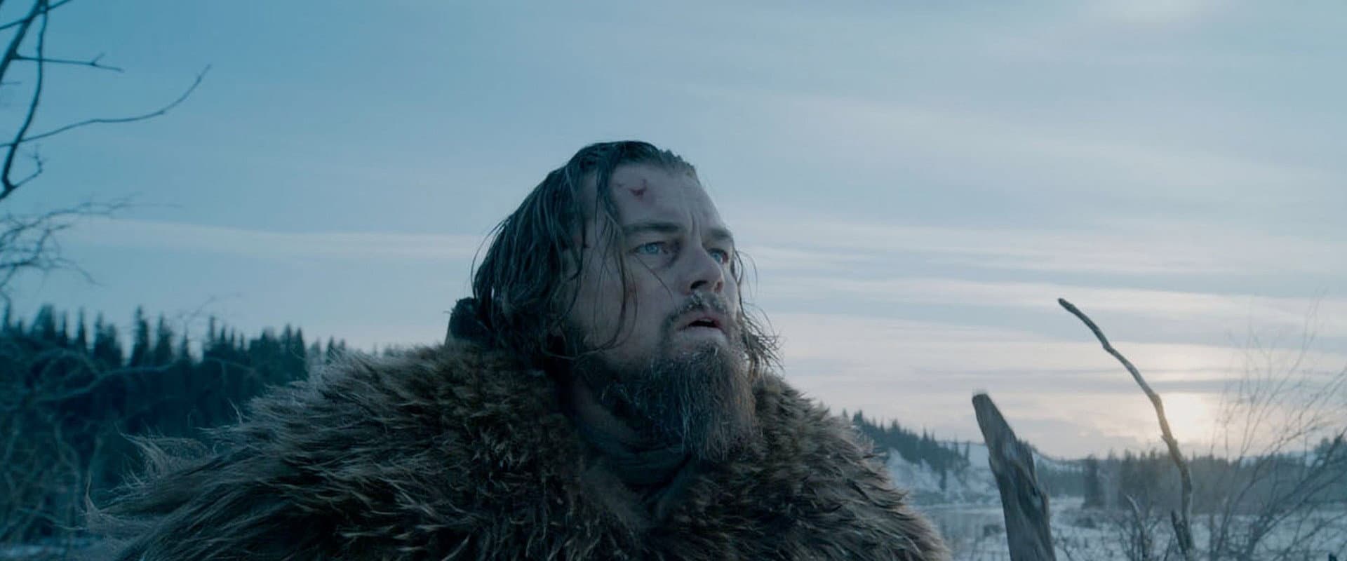 El renacido - The revenant