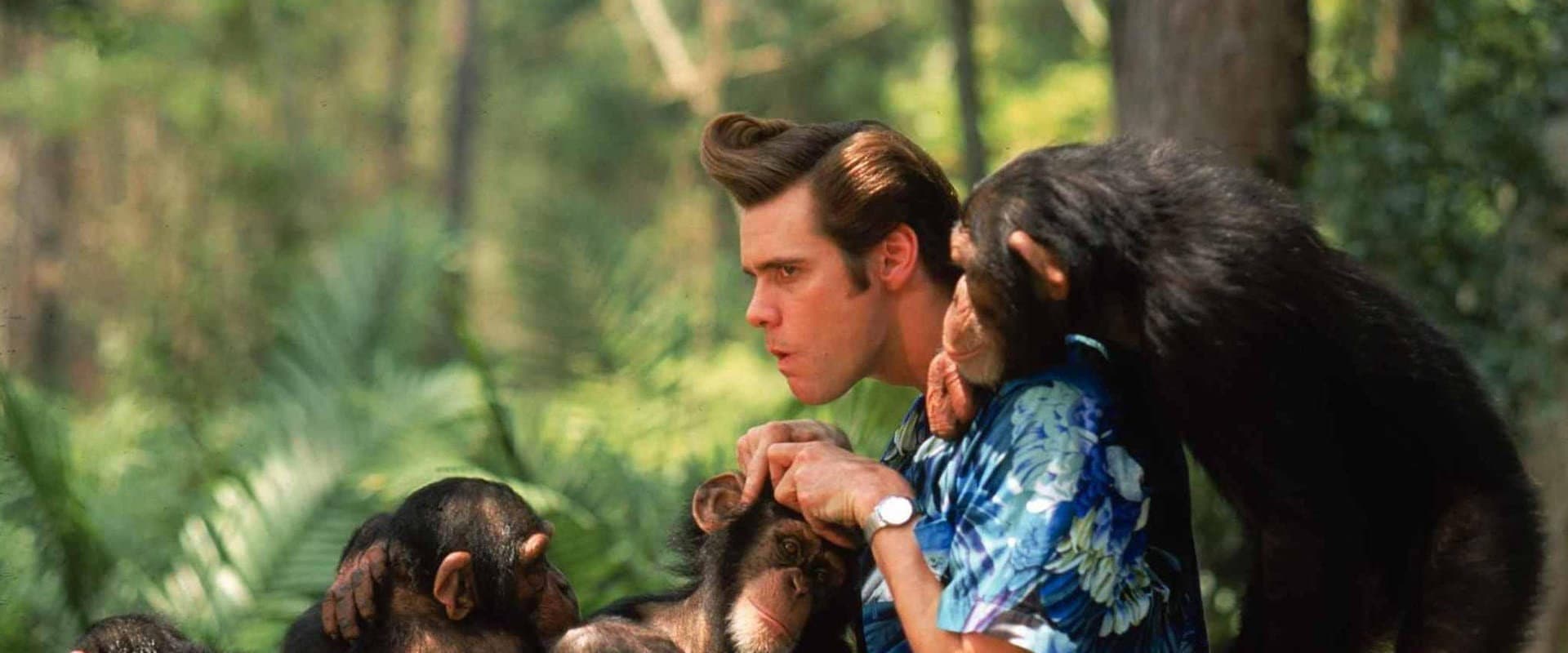 Ace Ventura II. Operación África