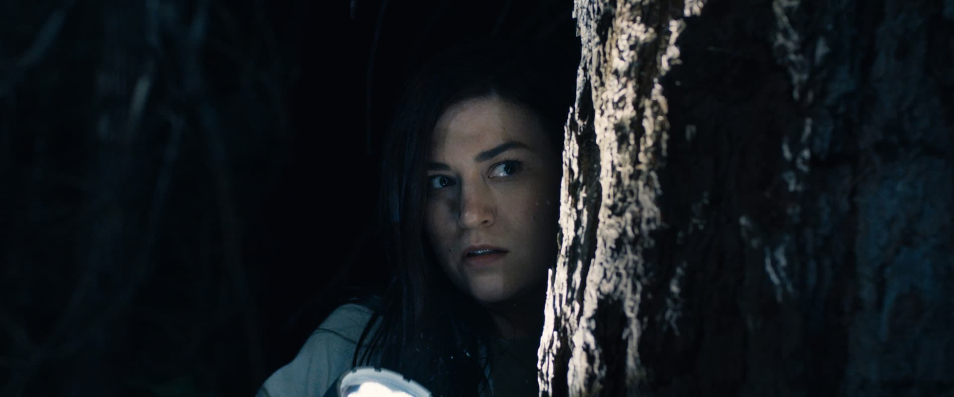Stranger in the Woods
