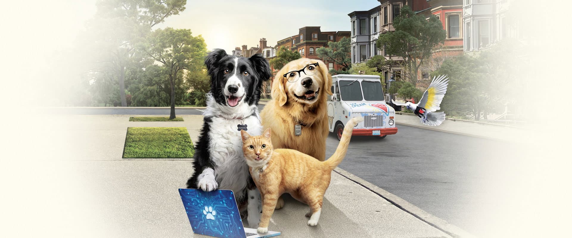 Como perros y gatos: La patrulla unida