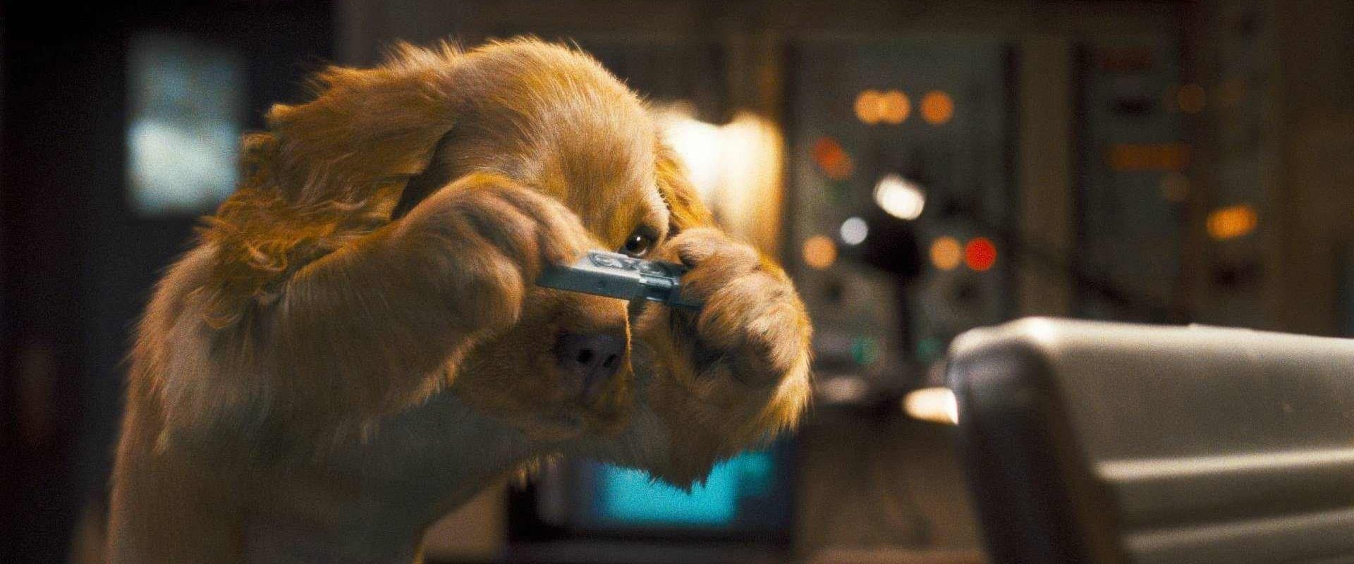 Como perros y gatos: La venganza de Kitty Galore