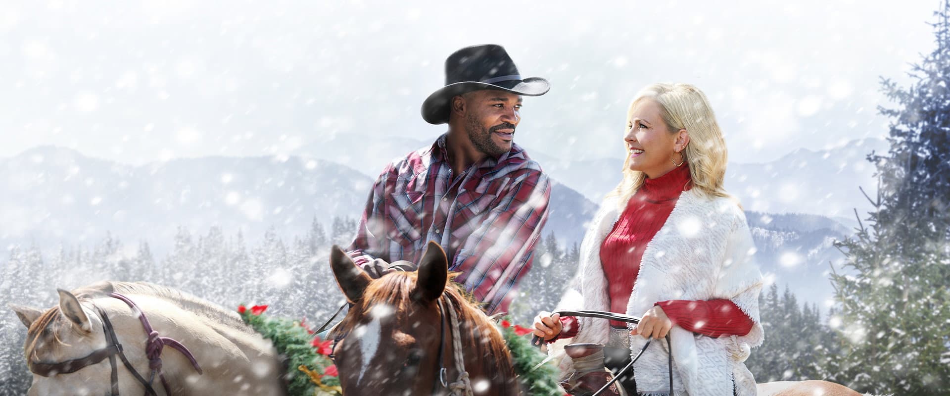Mistletoe in Montana